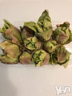 甲府デリヘルLOVE CLOVER(ラブクローバー)すみれ(29)の2019年2月28日写メブログ「第二十三訓「トウのつく言葉は結構ある」」