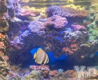 甲府デリヘル LOVE CLOVER(ラブクローバー) すみれ(30)の8月4日写メブログ「第八十三訓「気持ちは浮いても足は浮か すべからず」」