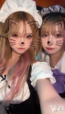 ���ܻԥ��ʥå��������륺�С� Girl's BAR KINGS(�����륺�С� ���󥰥�)��Ź�ޥ��᡼������