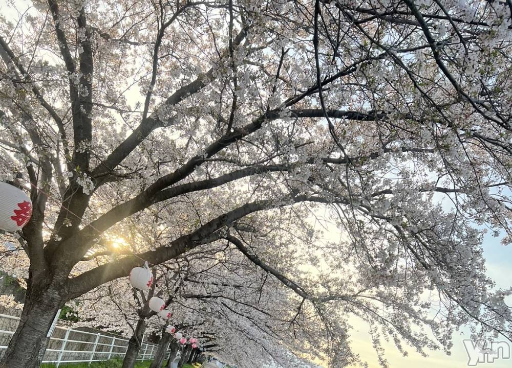 甲府デリヘル山梨デリヘル　絆　甲府店(ヤマナシデリヘル　キズナ　コウフテン) いお(27)の4月11日写メブログ「うーーーーー」