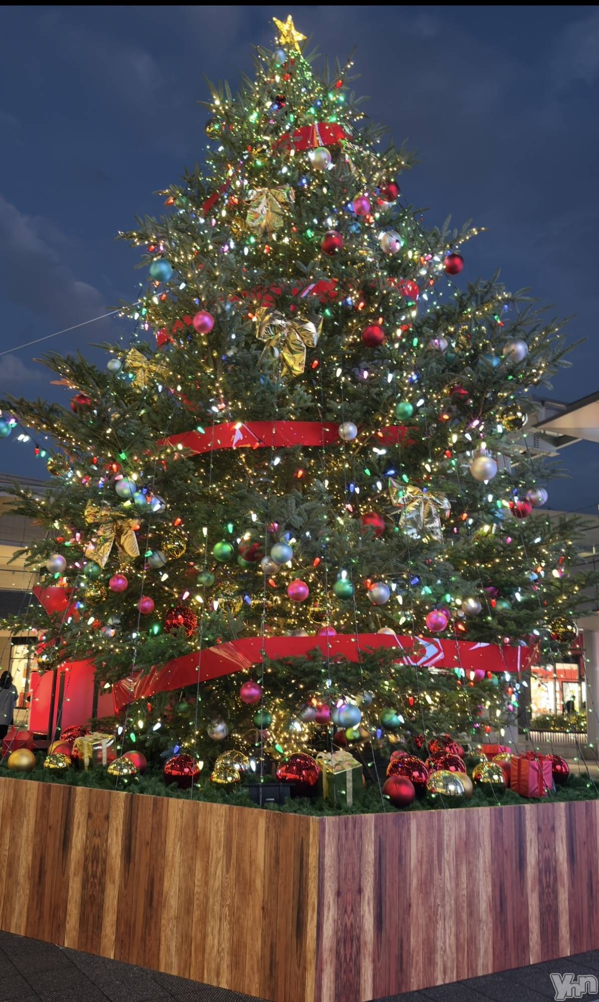 甲府デリヘル山梨デリヘル　絆　甲府店(ヤマナシデリヘル　キズナ　コウフテン)いお(27)の2025年12月11日写メブログ「暴凶星」