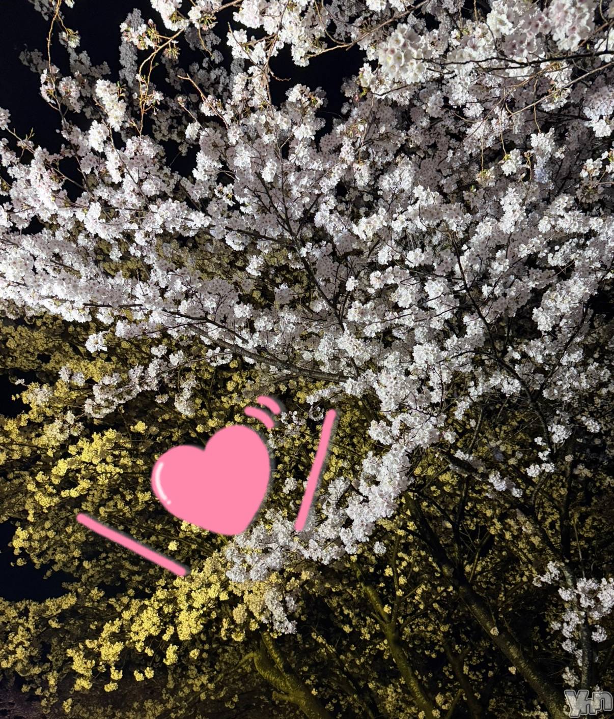 甲府デリヘル山梨デリヘル　絆　甲府店(ヤマナシデリヘル　キズナ　コウフテン)いお(27)の2026年4月2日写メブログ「4月🫶」