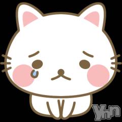 甲府デリヘル山梨デリヘル　絆　甲府店(ヤマナシデリヘル　キズナ　コウフテン) いお(27)の11月19日写メブログ「ごめんなさい。。」