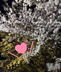 甲府デリヘル山梨デリヘル　絆　甲府店(ヤマナシデリヘル　キズナ　コウフテン) いお(27)の4月2日写メブログ「4月🫶」