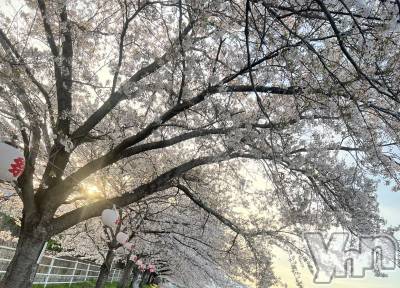 甲府デリヘル 山梨デリヘル　絆　甲府店(ヤマナシデリヘル　キズナ　コウフテン) いお(27)の4月11日写メブログ「うーーーーー」