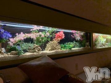 甲府デリヘル山梨デリヘル　絆　甲府店(ヤマナシデリヘル　キズナ　コウフテン) りあな(24)の7月25日写メブログ「出勤してます?」