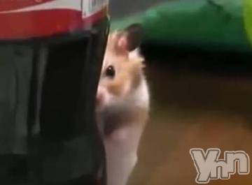 甲府デリヘル山梨デリヘル　絆　甲府店(ヤマナシデリヘル　キズナ　コウフテン) めぐな(23)の4月13日写メブログ「どうぞ?」