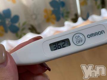 甲府デリヘル山梨デリヘル　絆　甲府店(ヤマナシデリヘル　キズナ　コウフテン) めぐな(23)の11月21日写メブログ「体温」