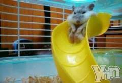 甲府デリヘル山梨デリヘル　絆　甲府店(ヤマナシデリヘル　キズナ　コウフテン) めぐな(23)の3月29日写メブログ「また４月にね?」