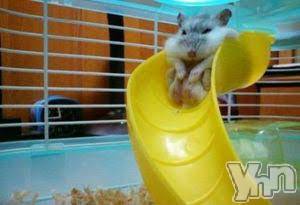 甲府デリヘル 山梨デリヘル　絆　甲府店(ヤマナシデリヘル　キズナ　コウフテン) めぐな(23)の3月29日写メブログ「また４月にね?」