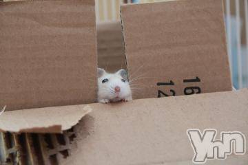 甲府デリヘル 山梨デリヘル　絆　甲府店(ヤマナシデリヘル　キズナ　コウフテン) めぐな(23)の7月2日写メブログ「???」