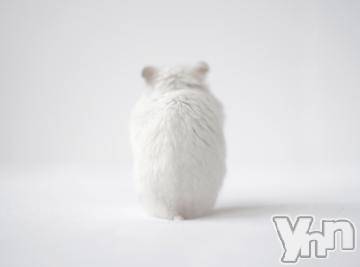 甲府デリヘル 山梨デリヘル　絆　甲府店(ヤマナシデリヘル　キズナ　コウフテン) めぐな(23)の3月7日写メブログ「またあした」