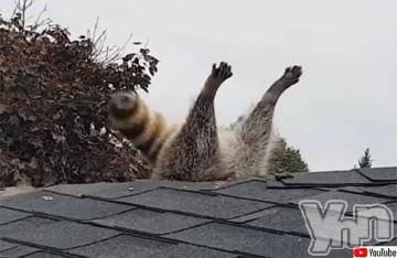 甲府デリヘル山梨デリヘル　絆　甲府店(ヤマナシデリヘル　キズナ　コウフテン) まりん(22)の9月17日写メブログ「?」