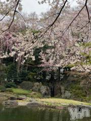 甲府デリヘル山梨デリヘル　絆　甲府店(ヤマナシデリヘル　キズナ　コウフテン) はな(24)の4月2日写メブログ「キリ番」