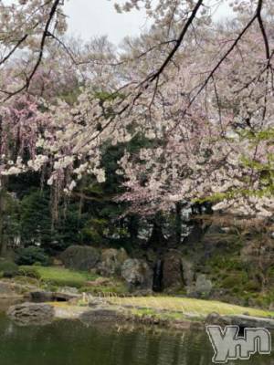 甲府デリヘル 山梨デリヘル　絆　甲府店(ヤマナシデリヘル　キズナ　コウフテン) はな(24)の4月2日写メブログ「キリ番」