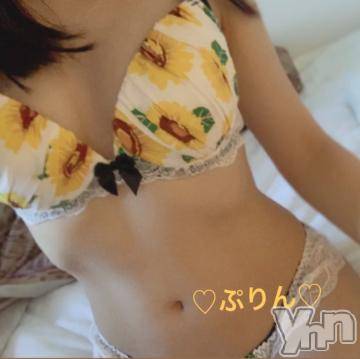 甲府ソープ石蹄(セキテイ) ぷりん(20)の9月8日写メブログ「?出勤?」