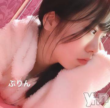 甲府ソープ石蹄(セキテイ) ぷりん(20)の3月17日写メブログ「もふもふしにおいで♪(*^^)o」