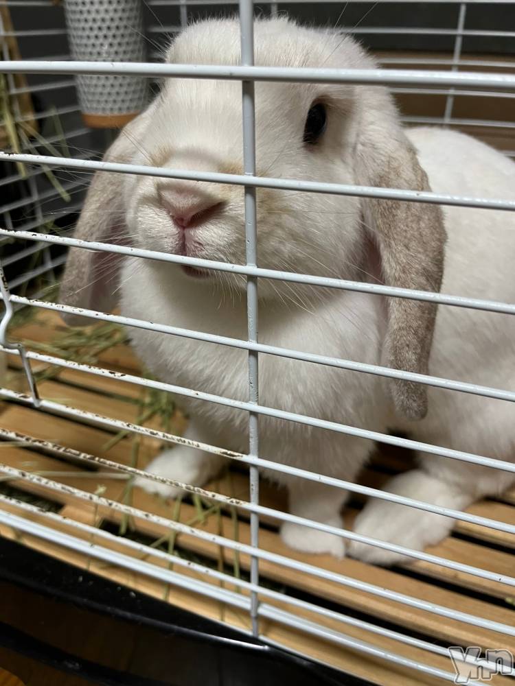 ���ܥ���Х��顦�����CLUB HEARTS(����֥ϡ���) ��������7��23���̥�֥�����₍ ᐢ. ̫ .ᐢ ₎‪‪❤︎‬��