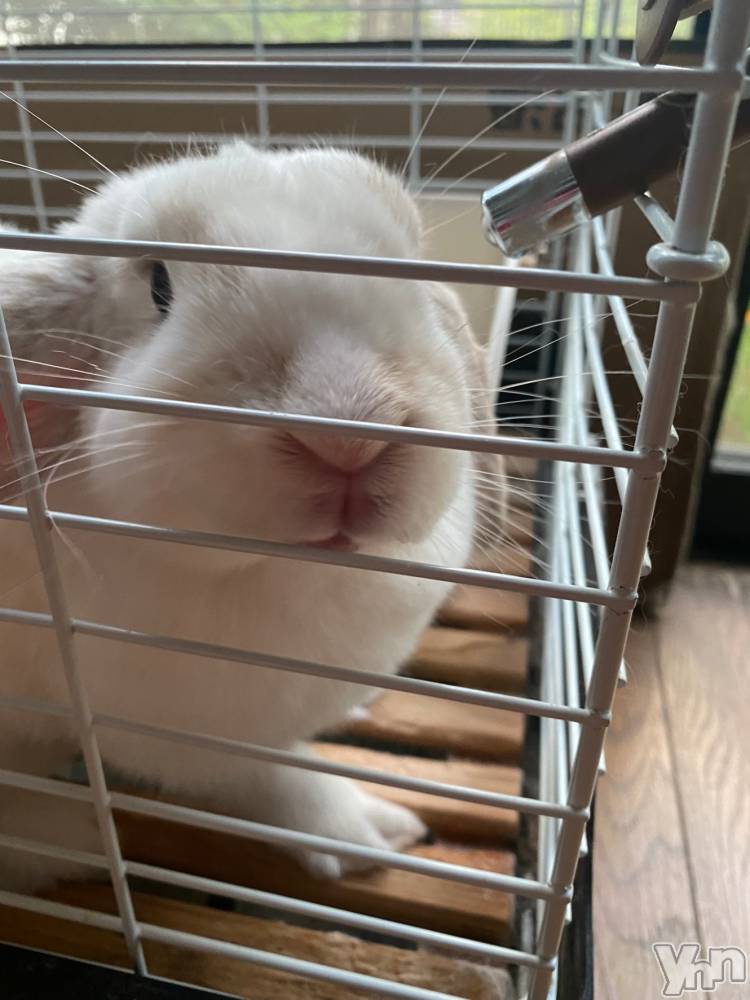 ���ܥ���Х��顦�����CLUB HEARTS(����֥ϡ���) ��������8��12���̥�֥�����(�á���`c)��