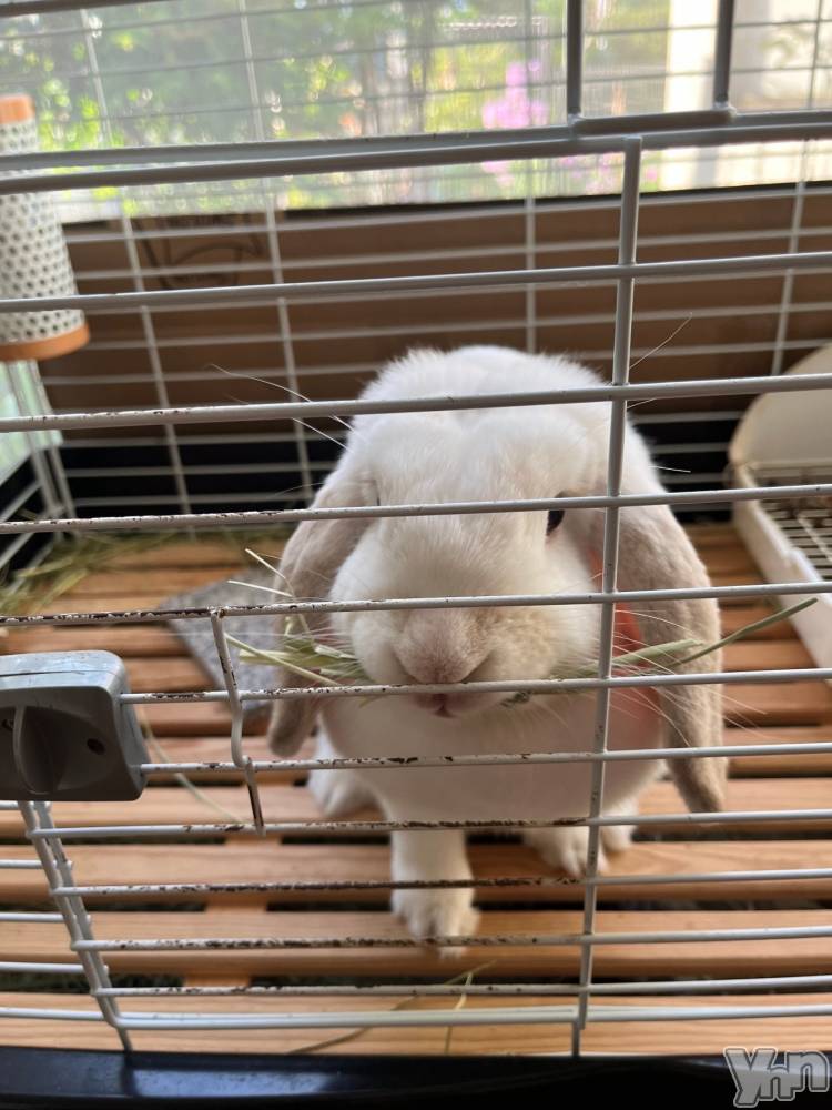 ���ܥ���Х��顦�����CLUB HEARTS(����֥ϡ���) ��������9��13���̥�֥�����(ᐢ..ᐢ)🌼��