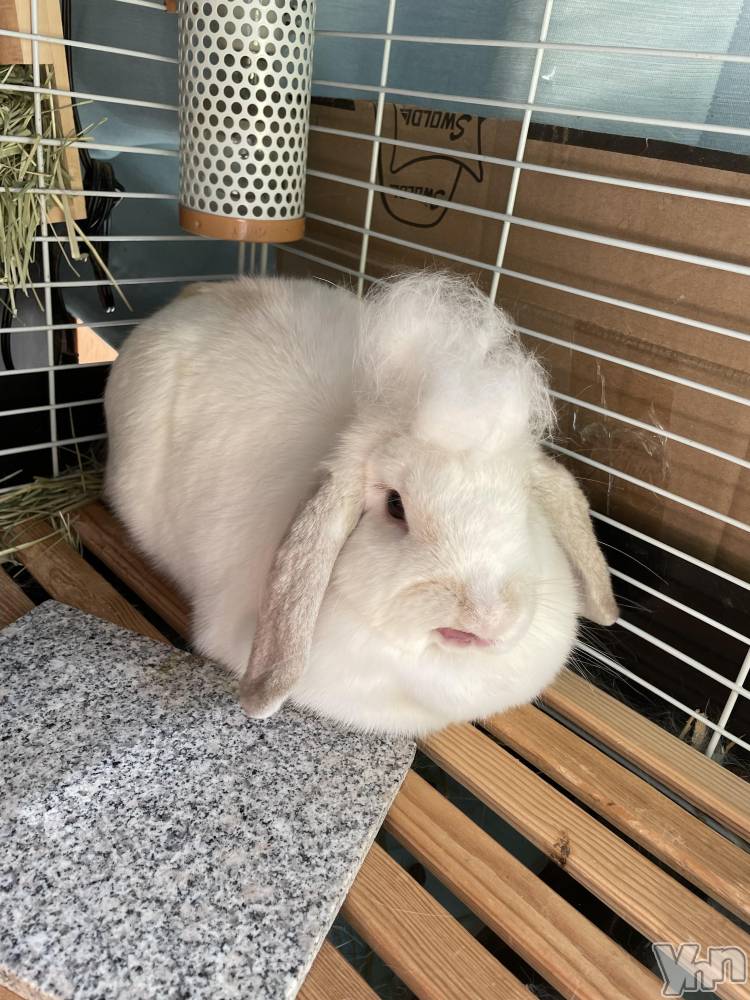 ���ܥ���Х��顦�����CLUB HEARTS(����֥ϡ���) ��������9��25���̥�֥����֤ڤ�(๑'ڡ'๑)୨♡��