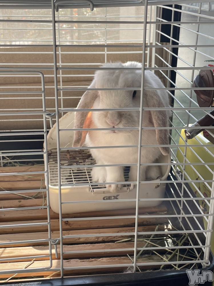 ���ܥ���Х��顦�����CLUB HEARTS(����֥ϡ���) ��������11��13���̥�֥�����🐰��