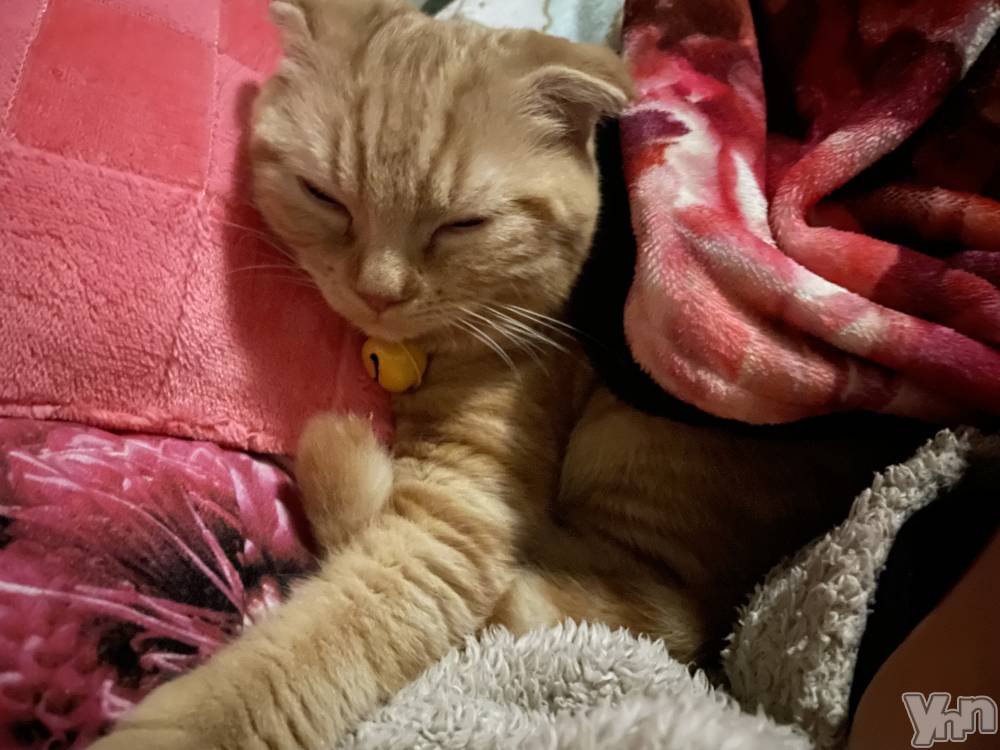 ���ܥ���Х��顦�����CLUB HEARTS(����֥ϡ���) ��������12��18���̥�֥�����🙁🙁��