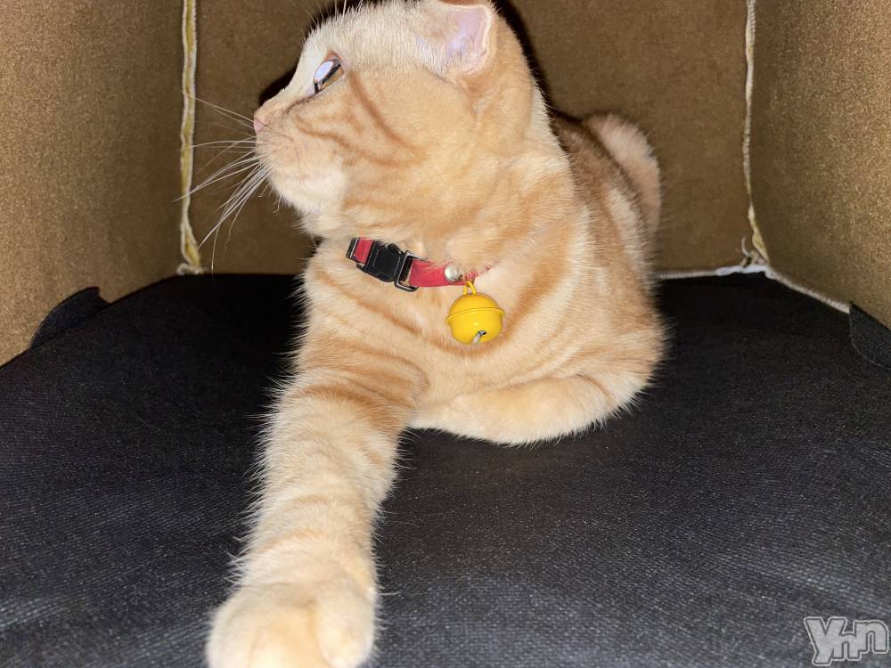 ���ܥ���Х��顦�����CLUB HEARTS(����֥ϡ���) ��������1��1���̥�֥����֤פ��á�