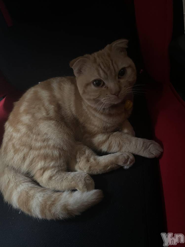 ���ܥ���Х��顦�����CLUB HEARTS(����֥ϡ���) ��������1��24���̥�֥�����💺��