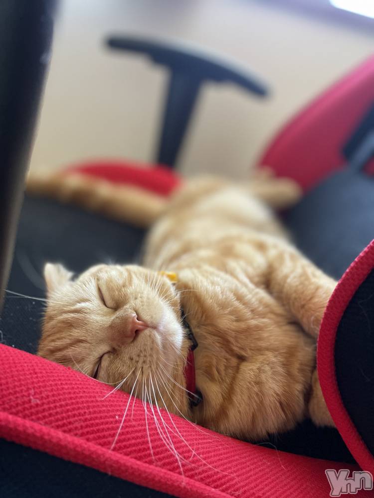 ���ܥ���Х��顦�����CLUB HEARTS(����֥ϡ���) ��������2��21���̥�֥����֤ͤ��