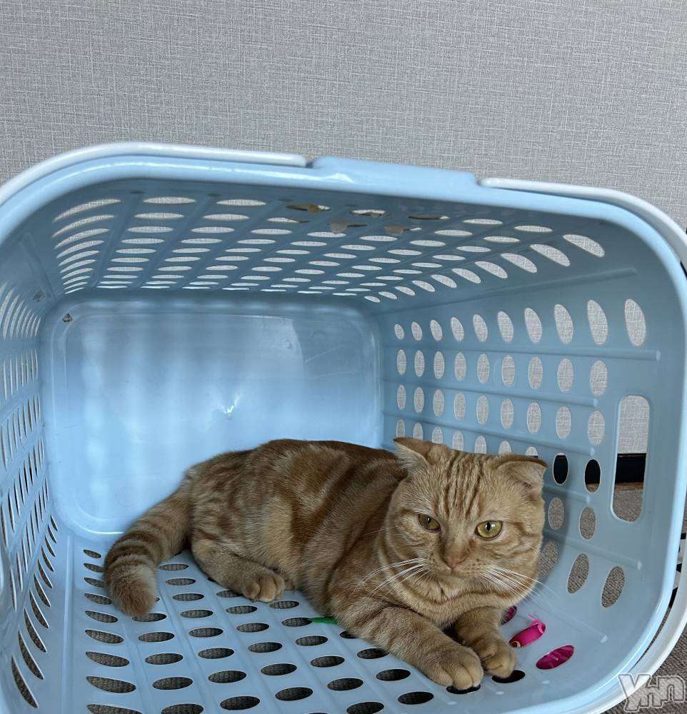 ���ܥ���Х��顦�����CLUB HEARTS(����֥ϡ���) ��������7��25���̥�֥�����🧺��