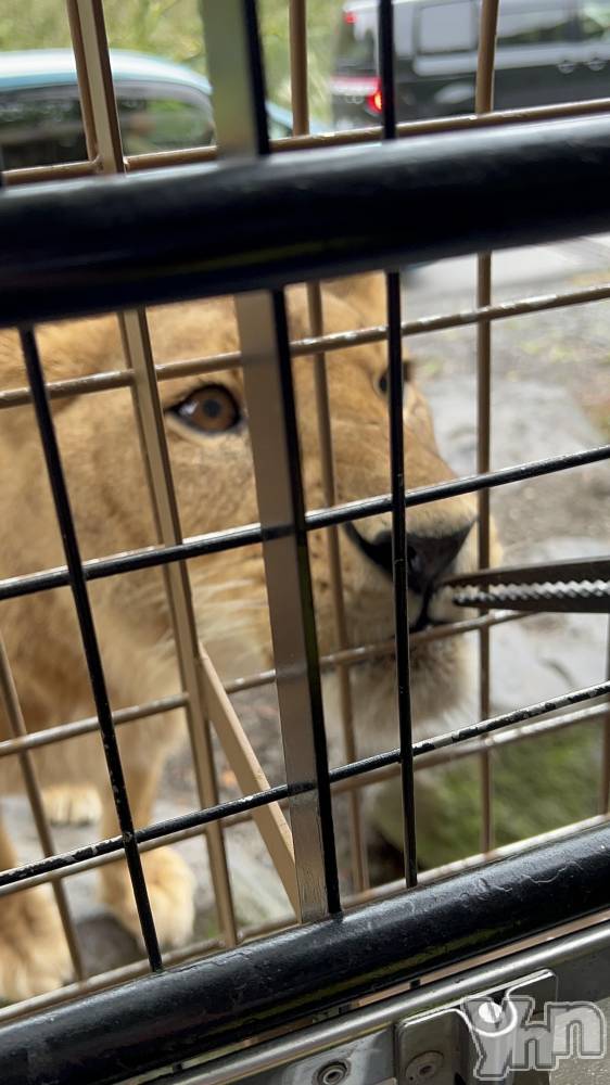 ���ܥ���Х��顦�����CLUB HEARTS(����֥ϡ���) ��������10��8���̥�֥�����🦁��