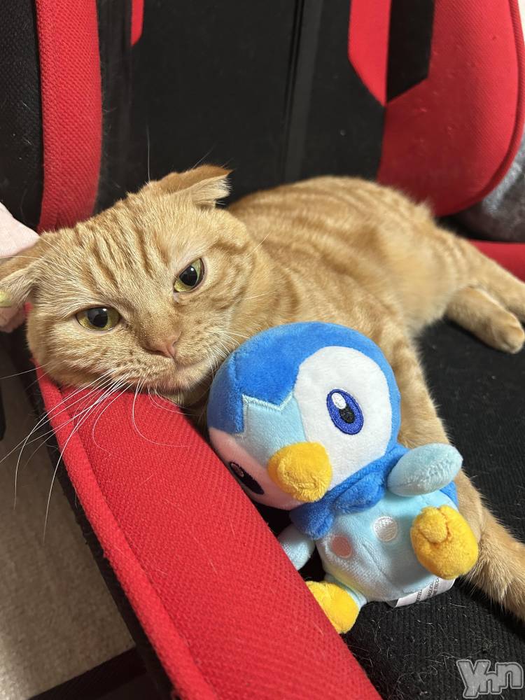 ���ܥ���Х��顦�����CLUB HEARTS(����֥ϡ���) ��������10��17���̥�֥����֤ݤä���ޤͤ���