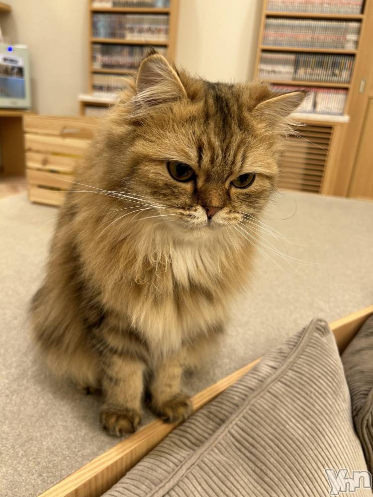 ���ܥ���Х��顦�����CLUB HEARTS(����֥ϡ���) ��������3��10���̥�֥����֤���ͤ���