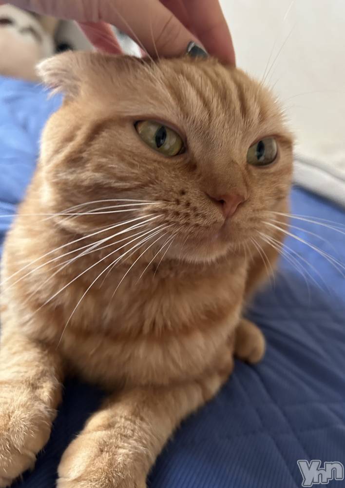 ���ܥ���Х��顦�����CLUB HEARTS(����֥ϡ���) ��������7��1���̥�֥�����🐈🩷🩷��