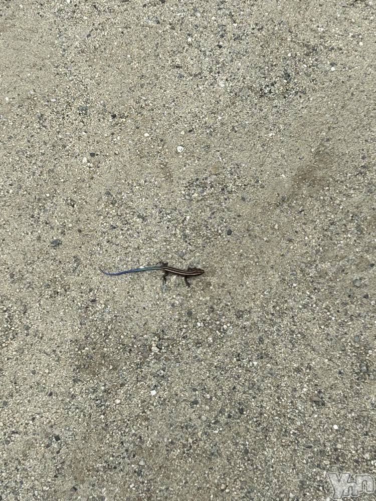 ���ܥ���Х��顦�����CLUB HEARTS(����֥ϡ���) ��������7��10���̥�֥����֤ߤĤ�����