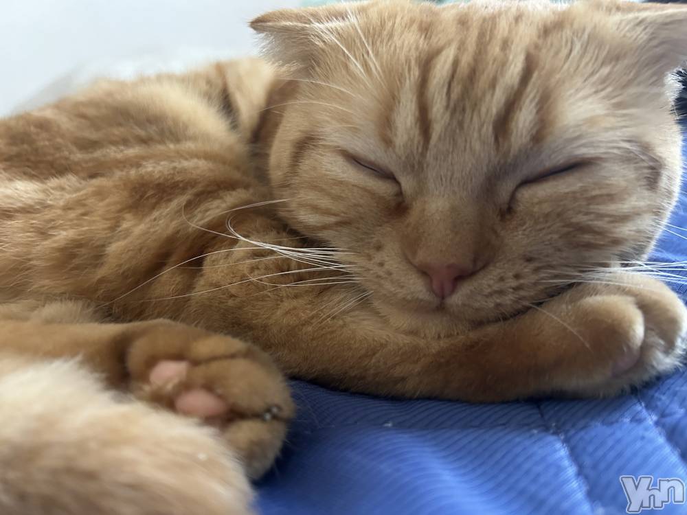 ���ܥ���Х��顦�����CLUB HEARTS(����֥ϡ���) ��������10��4���̥�֥����֤��礦��