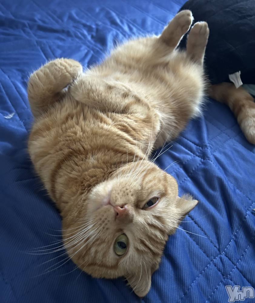 ���ܥ���Х��顦�����CLUB HEARTS(����֥ϡ���) ��������10��22���̥�֥����֤���פߡ�