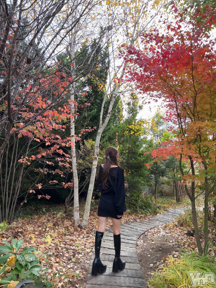 ���ܥ���Х��顦�����CLUB HEARTS(����֥ϡ���) ��������11��10���̥�֥�����1ǯ����