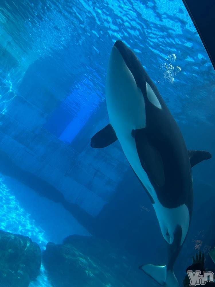 ���ܥ���Х��顦�����CLUB HEARTS(����֥ϡ���) ��������8��24���̥�֥�����̾�Ų�����²�ۡ�