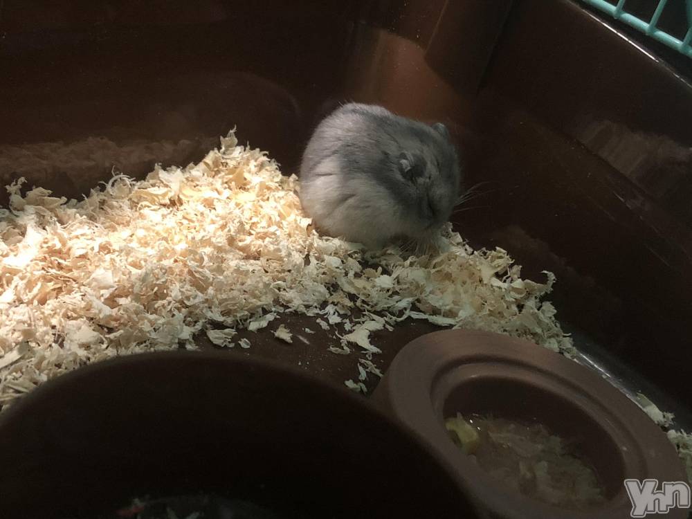 ���ܥ���Х��顦�����CLUB HEARTS(����֥ϡ���) ��������12��9���̥�֥����֡��Ϥ�Ϥ��