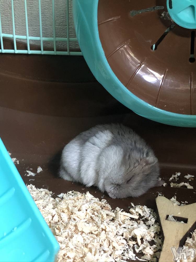 ���ܥ���Х��顦�����CLUB HEARTS(����֥ϡ���) ��������6��20���̥�֥����֤ڤäȤ��