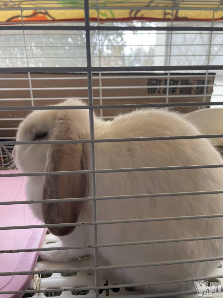 ���ܥ���Х��顦�����CLUB HEARTS(����֥ϡ���) ��������2��13���̥�֥����֤�դ�ա�