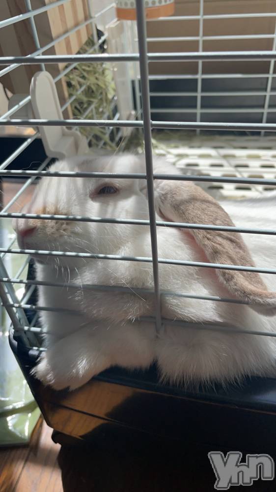 ���ܥ���Х��顦�����CLUB HEARTS(����֥ϡ���) ��������4��13���̥�֥����֤��Τ���