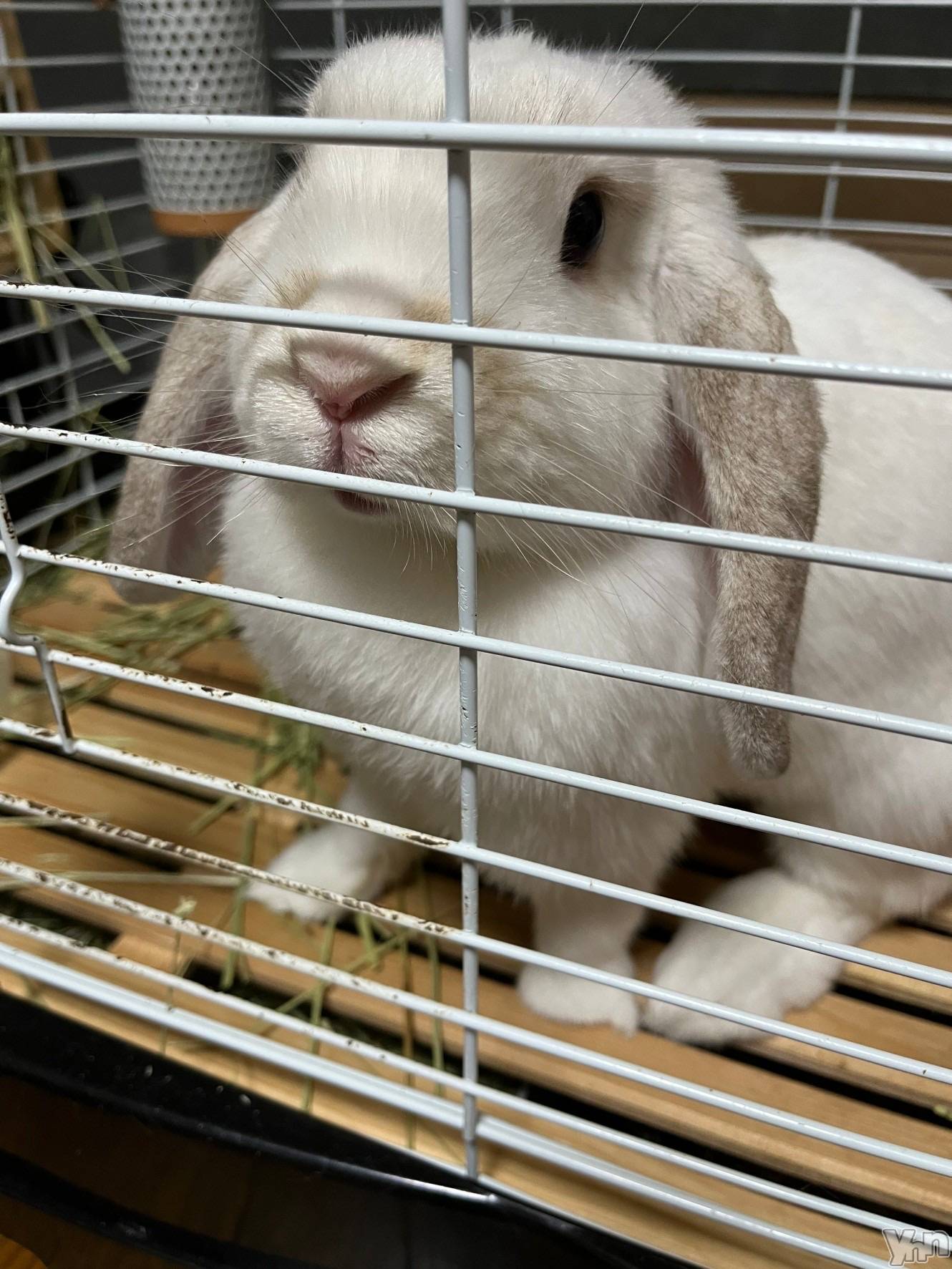 ���ܥ���Х��顦�����CLUB HEARTS(����֥ϡ���) ��2022ǯ7��23���̥�֥�����₍ ᐢ. ̫ .ᐢ ₎‪‪❤︎‬��