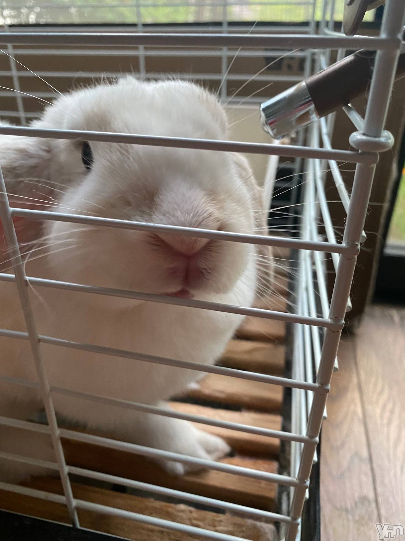 ���ܥ���Х��顦�����CLUB HEARTS(����֥ϡ���) ��2022ǯ8��12���̥�֥�����(�á���`c)��