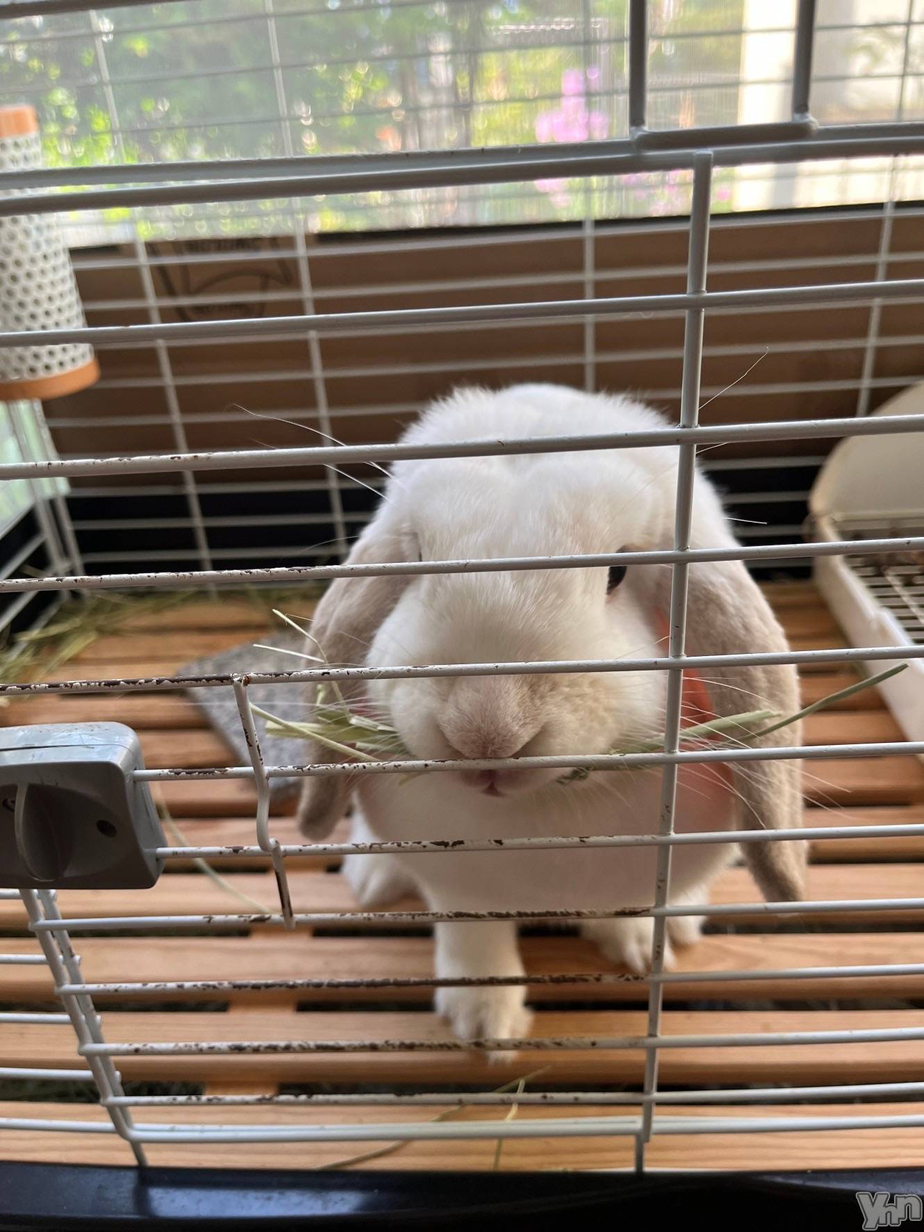 ���ܥ���Х��顦�����CLUB HEARTS(����֥ϡ���) ��2022ǯ9��13���̥�֥�����(ᐢ..ᐢ)🌼��