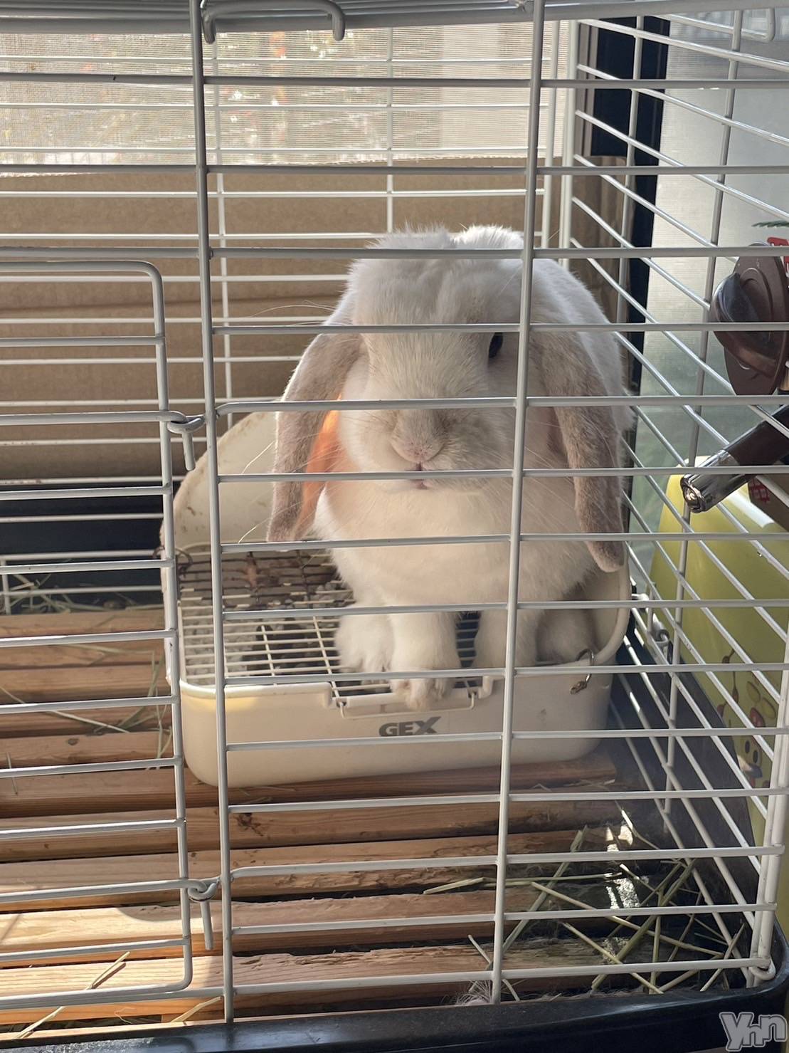 ���ܥ���Х��顦�����CLUB HEARTS(����֥ϡ���) ��2022ǯ11��13���̥�֥�����🐰��