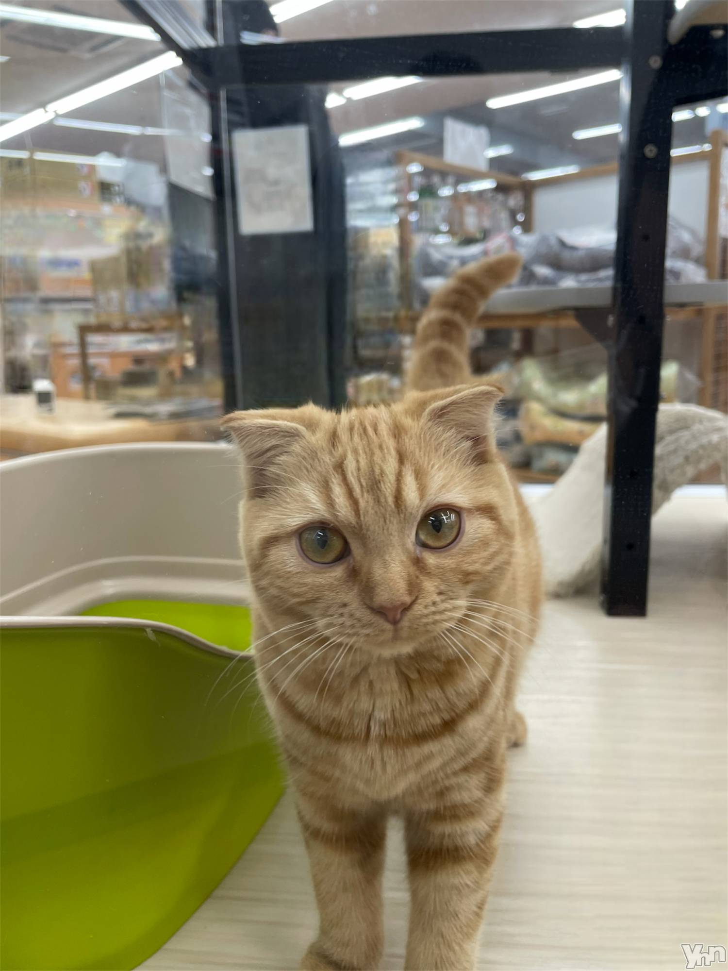 ���ܥ���Х��顦�����CLUB HEARTS(����֥ϡ���) ��2022ǯ11��25���̥�֥����ֳڤ���🐈🐾��