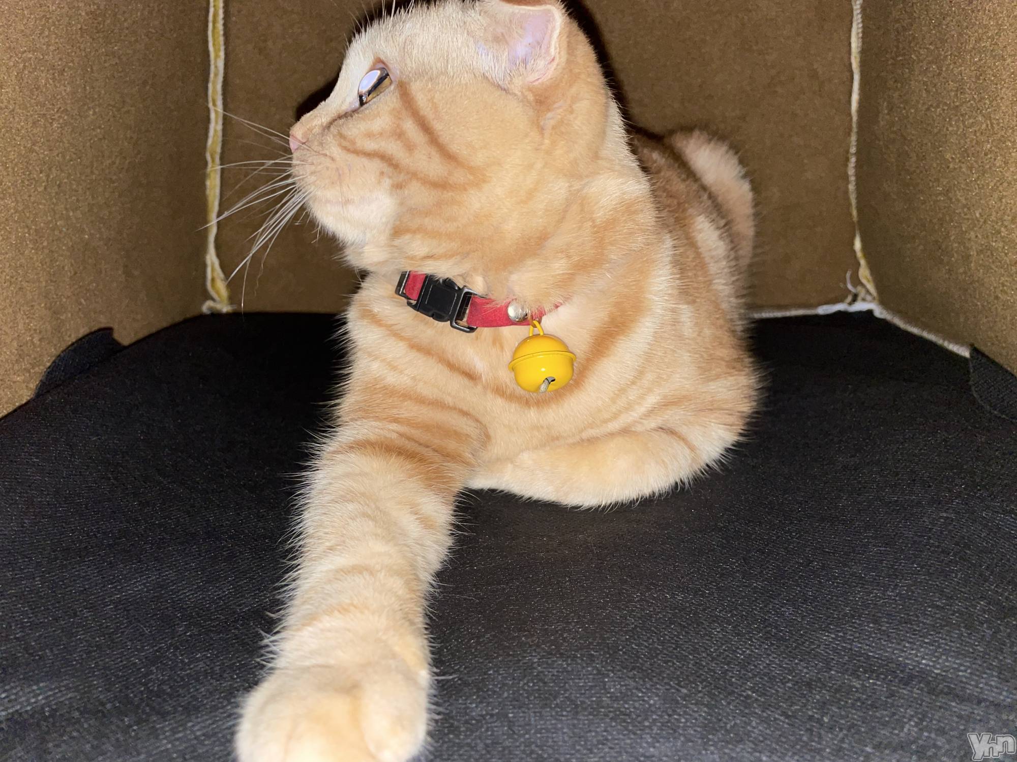 ���ܥ���Х��顦�����CLUB HEARTS(����֥ϡ���) ��2023ǯ1��1���̥�֥����֤פ��á�